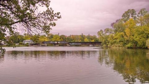 Frozen Swing Bridge photo 3