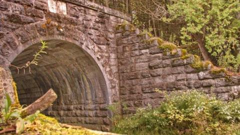 Funky Trunk Bridge photo 2