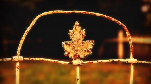 War of 1812 Cdn. Veteran - Vroomanton-United-Church-Cemetery10.jpg