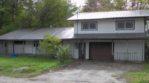 scrappy neighbor photo 2