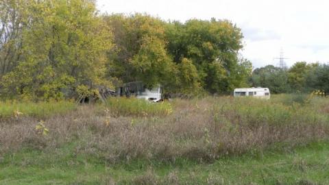 hermit - SAM_0720.jpg