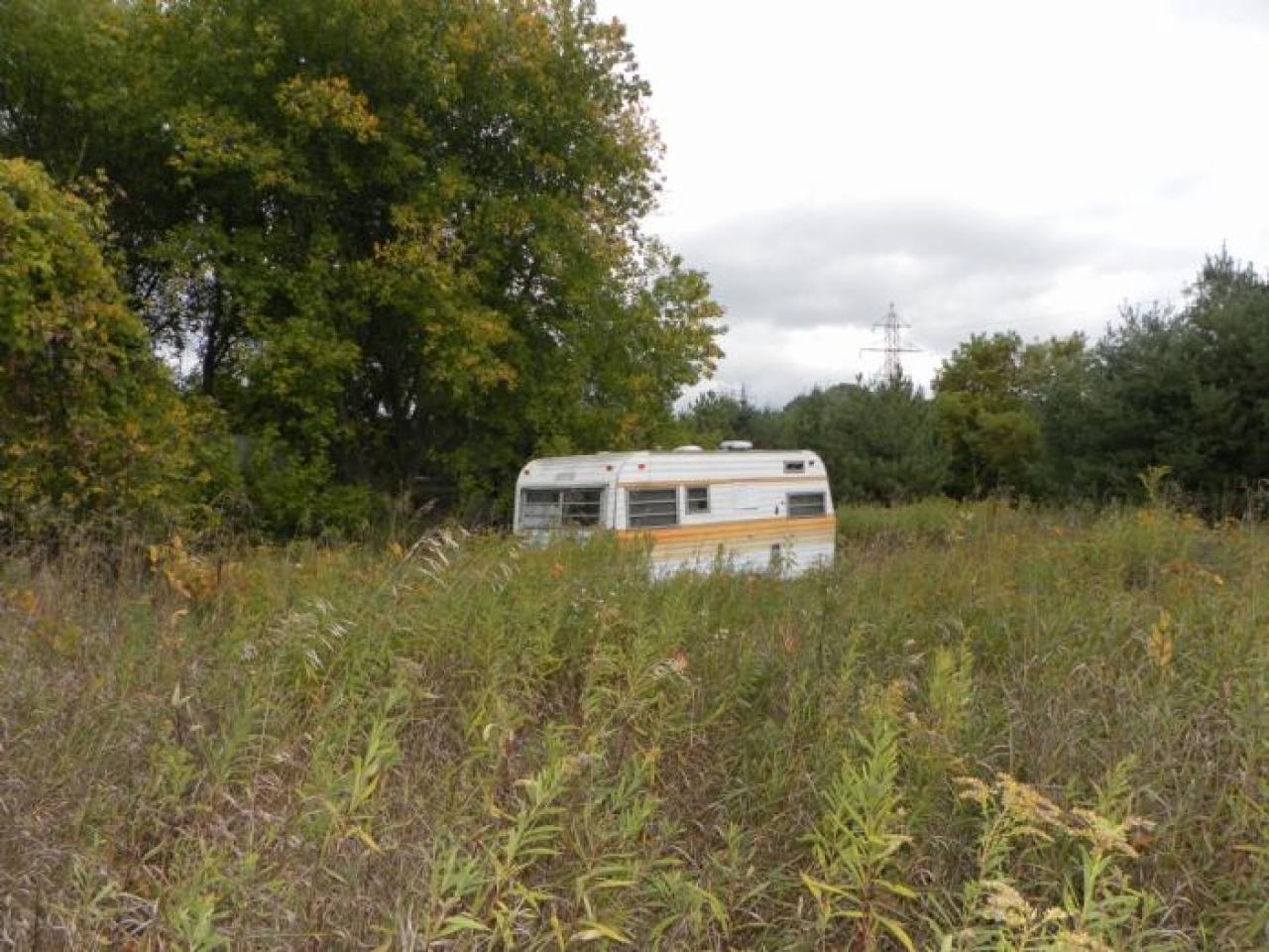 hermit - SAM_0721.jpg