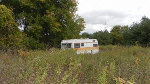 hermit - SAM_0721.jpg