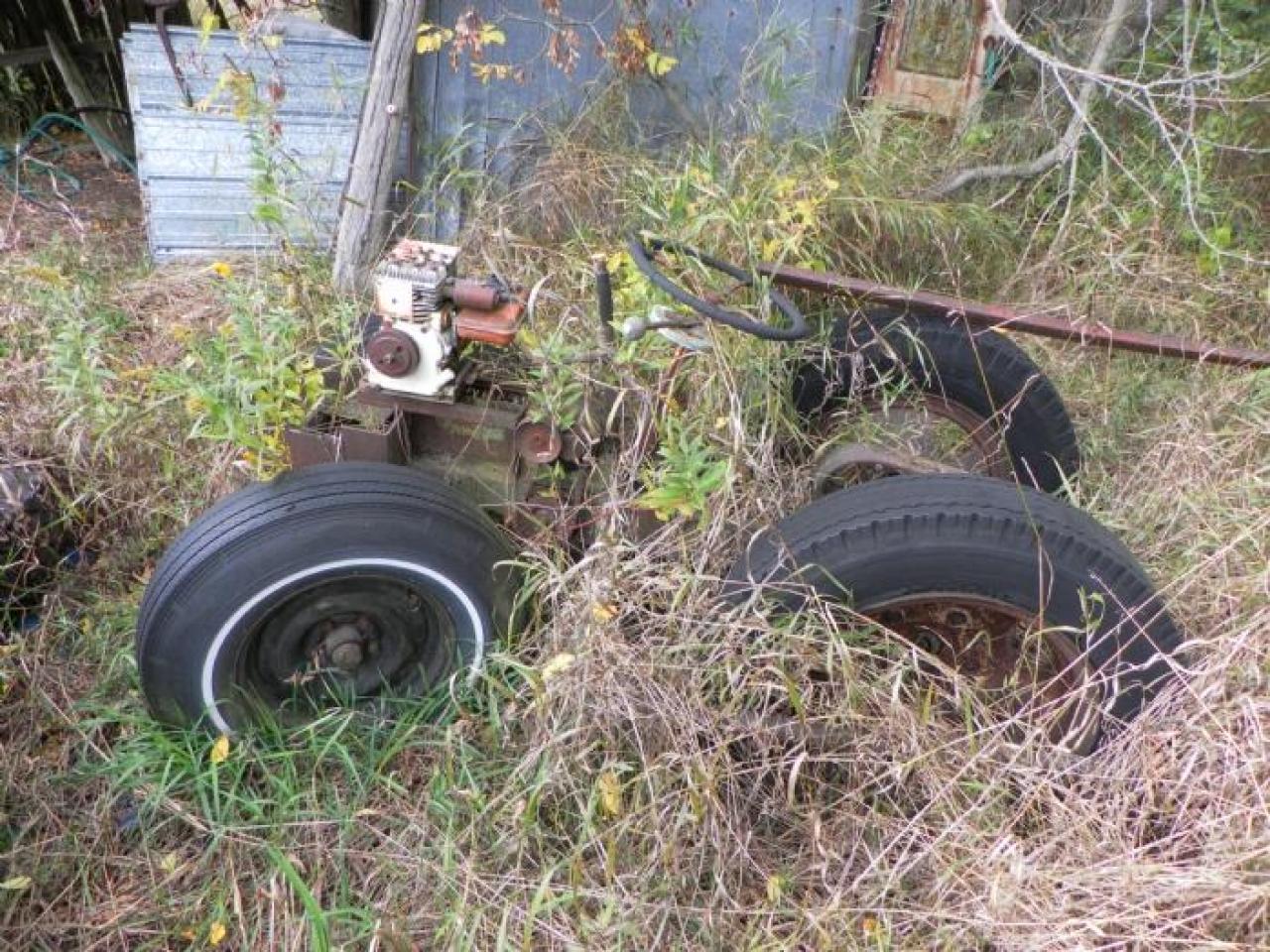 hermit - SAM_0722.jpg