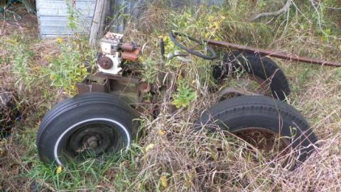 hermit - SAM_0722.jpg