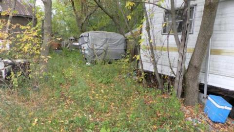 hermit - SAM_0723.jpg