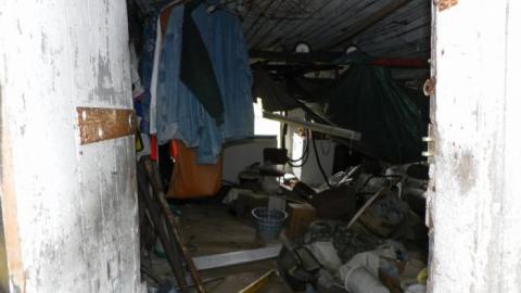 hermit - SAM_0724.jpg