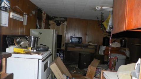 hermit - SAM_0725.jpg