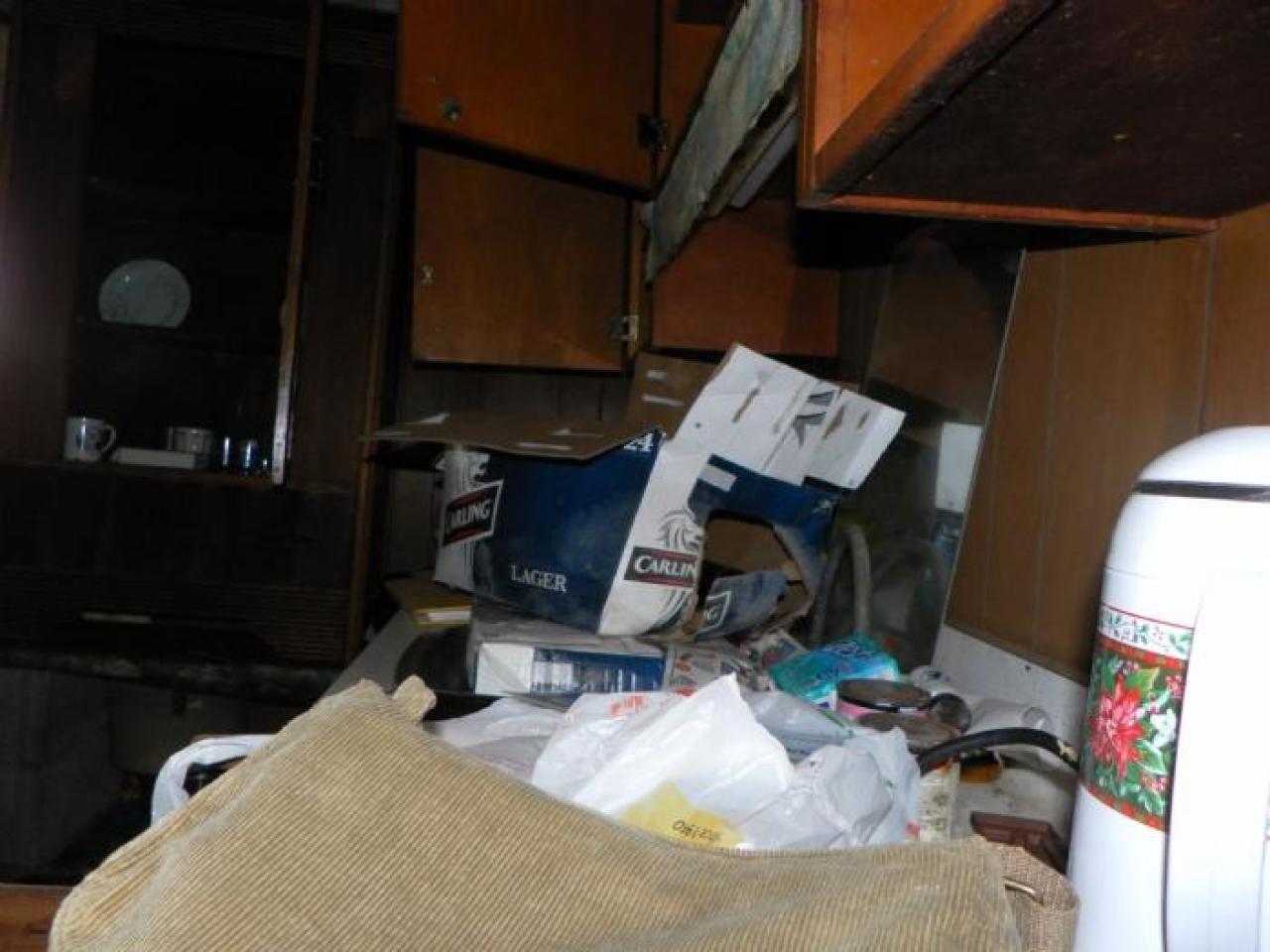 hermit - SAM_0726.jpg