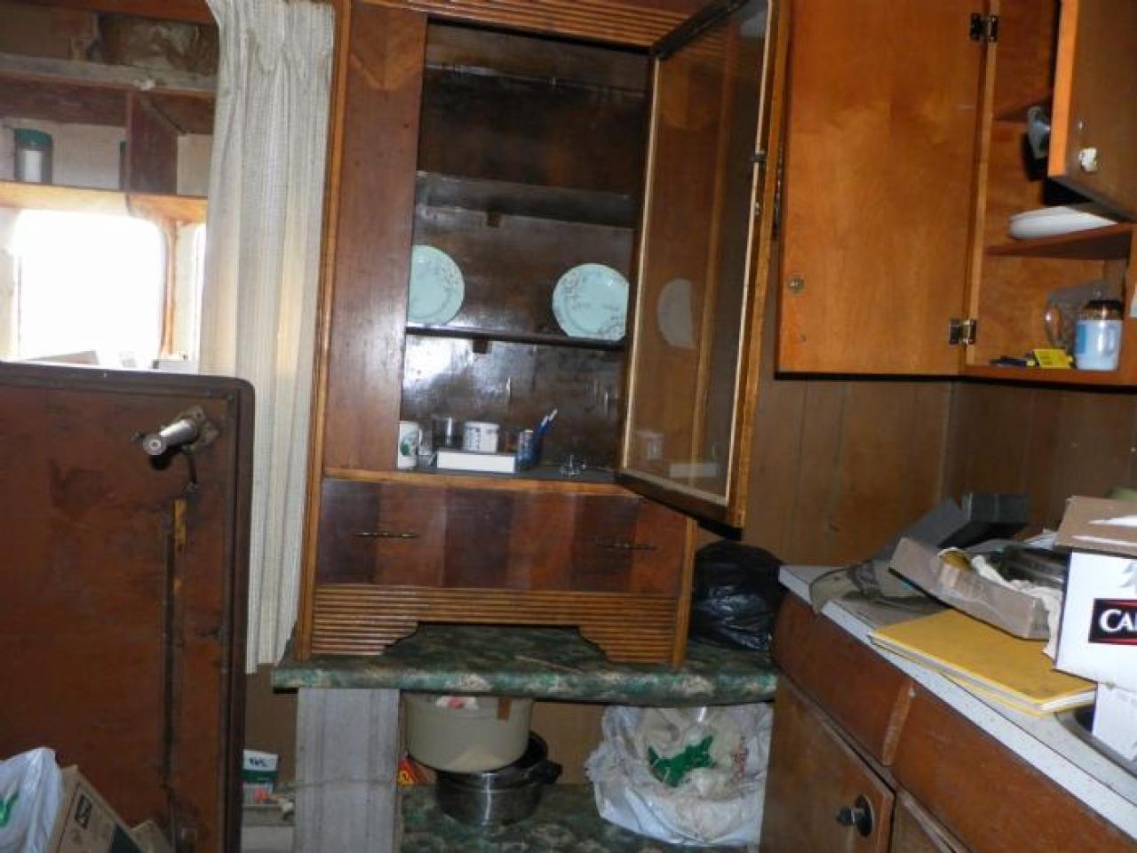 hermit - SAM_0727.jpg