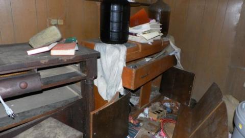 hermit - SAM_0728.jpg