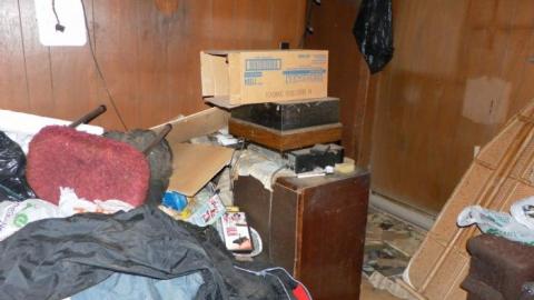 hermit - SAM_0730.jpg