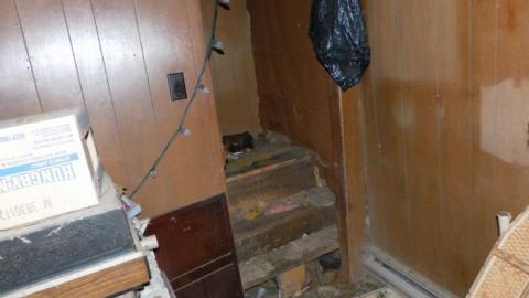 hermit - SAM_0732.jpg