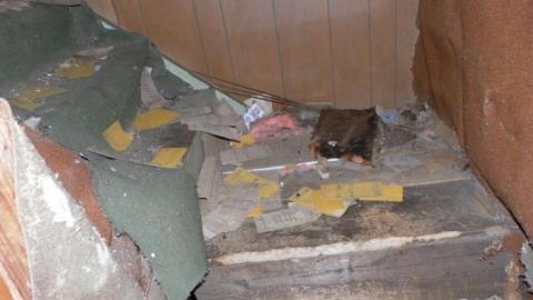 hermit - SAM_0733.jpg