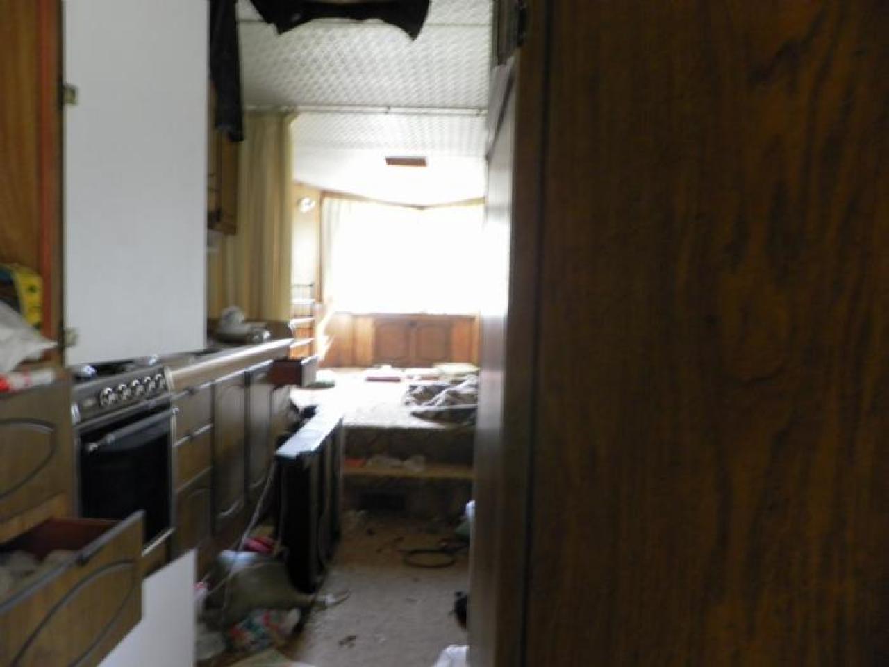 hermit - SAM_0749.jpg