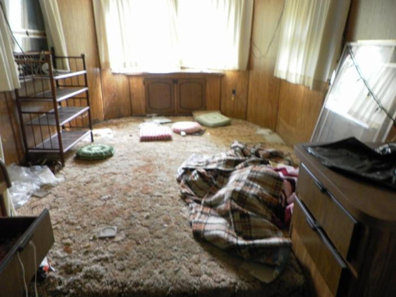 hermit - SAM_0750.jpg