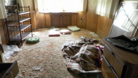 Hermit Finally Left photo 2