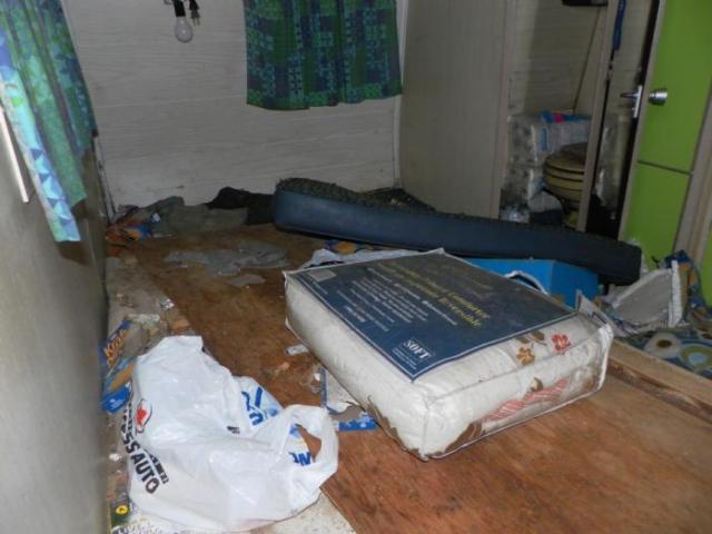 Hermit Finally Left photo 5