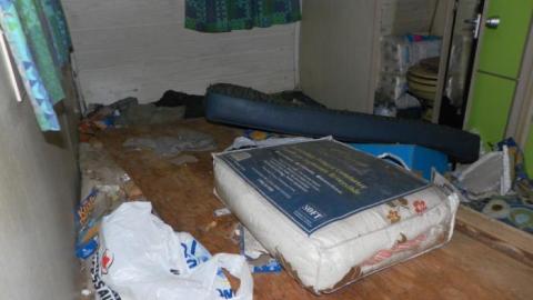 Hermit Finally Left photo 5