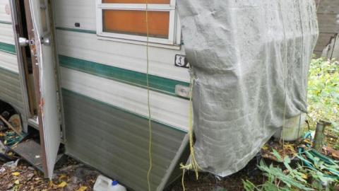 hermit - SAM_0754.jpg