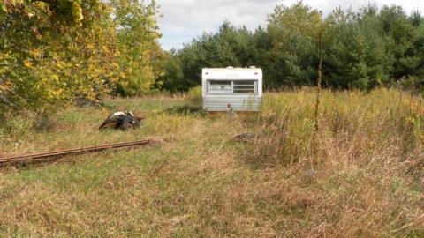 hermit - SAM_0763.jpg