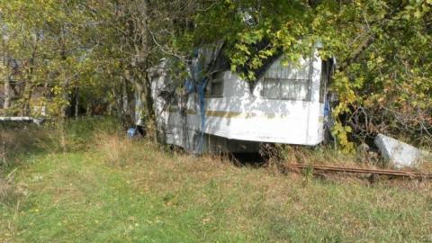 hermit - SAM_0764.jpg