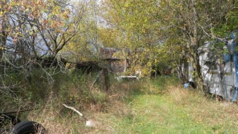 hermit - SAM_0765.jpg