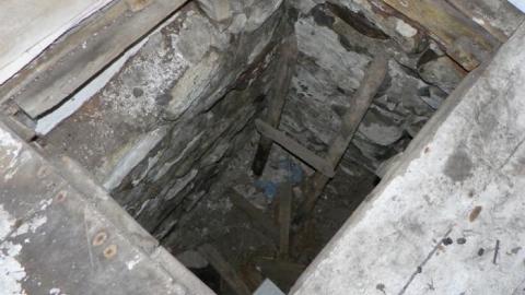 hermit - SAM_0767.jpg