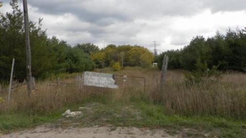 hermit - SAM_0796.jpg