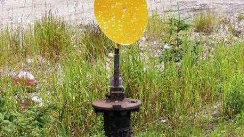 Frater Station - Frater-Road-Train-Station13.jpg