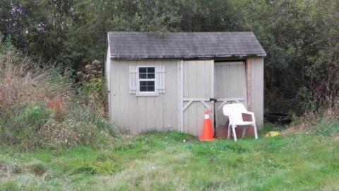 Photo from good by cruel world