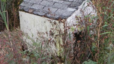 Photo from good by cruel world