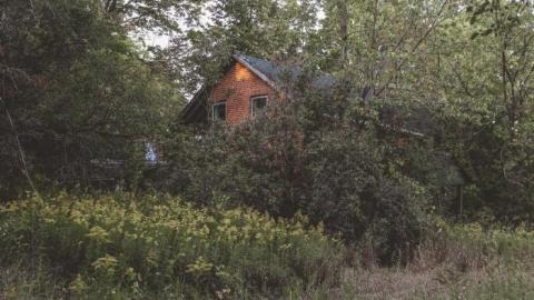 Photo from Barely Standing