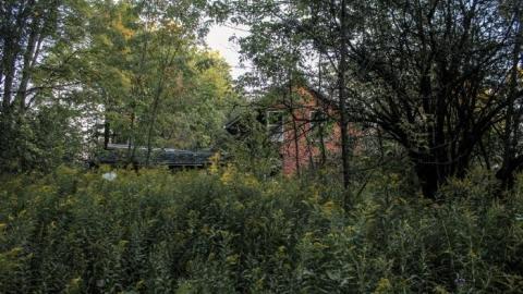 Barely Standing - Television-Keene-TwoForOne67.jpg