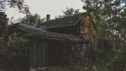 Photo from Barely Standing