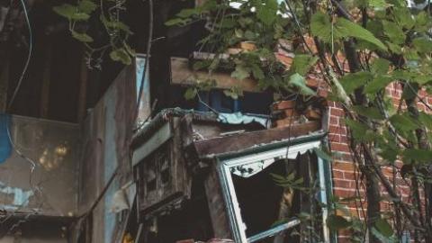 Photo from Barely Standing