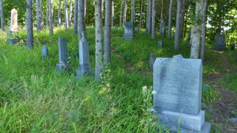 White Lake  - White-Lake-Pioneer-Cemetery13.jpg