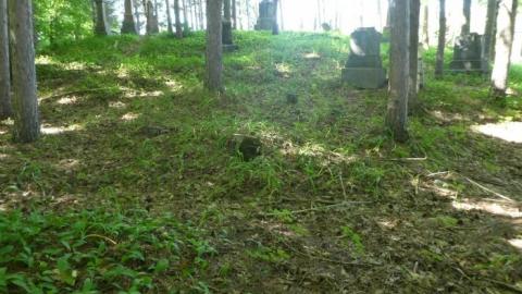 White Lake  - White-Lake-Pioneer-Cemetery33.jpg