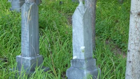 White Lake  - White-Lake-Pioneer-Cemetery9.jpg