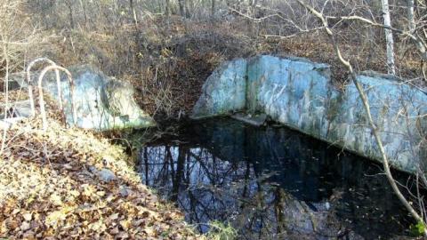 Abandoned Pool photo 5