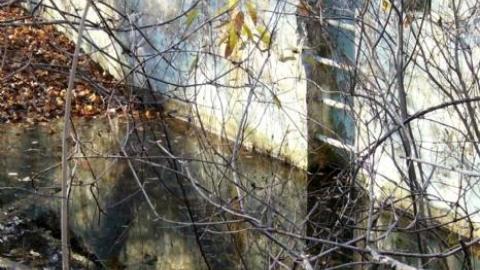 Sept/Nov 2009 - Abandoned-Pool14.jpg