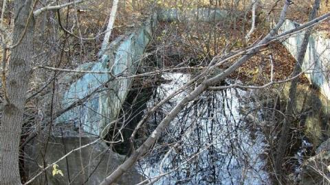 Abandoned Pool - London, Ontario