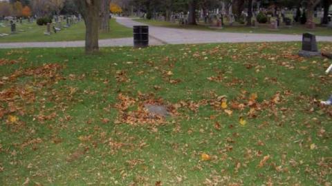 Orma's Gravesite- Port Hope cover photo