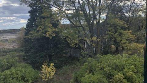 Photo from Thanksgiving