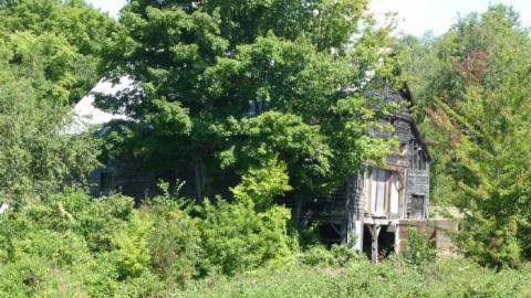 August 2019 - Queensborough19.jpg