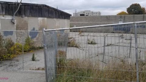 Dickson Bowling/Dr. Junk photo 2