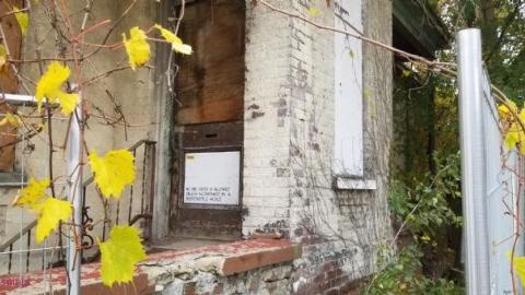 Dickson Bowling/Dr. Junk photo 4