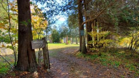 October 2019 - Smellies-Pioneer-Cemetery1.jpg