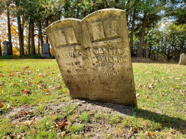 Smellie's Pioneer Cemetery - West Grey, Ontario