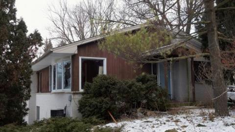 Soon To Be Majestic '19 - DSC02679.jpg